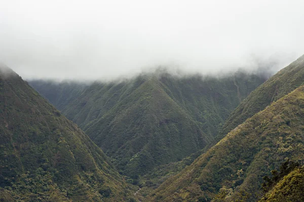 Panoramic nature landscape from Iao valley in wahiee forest on Maui island, Hawai. — Stock Photo, Image