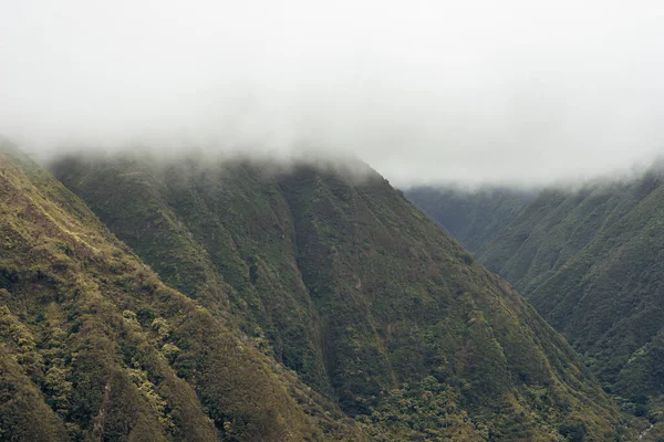 Maui Adası, Hawaii 'deki Wai Ormanı' ndaki Iao Vadisi 'nden panoramik doğa manzarası.. — Stok fotoğraf