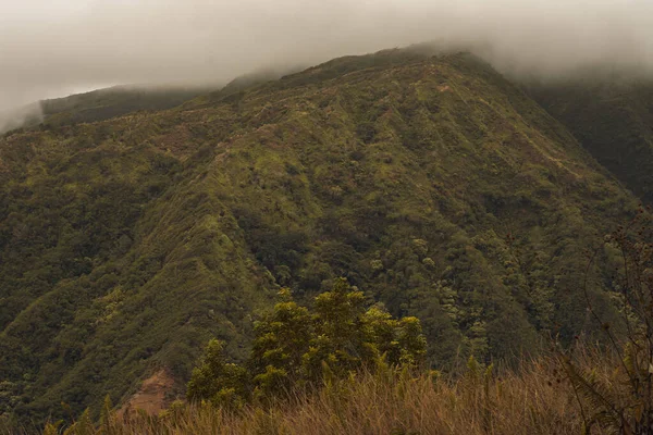 Panoramic nature landscape from Iao valley in wahiee forest on Maui island, Hawai. — Stock Photo, Image
