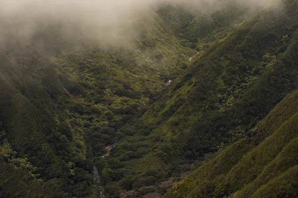 Paisaje panorámico de la naturaleza desde el valle de Iao en el bosque wahiee en la isla de Maui, Hawai. — Foto de Stock