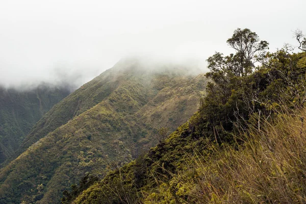 Panorama della natura dalla valle di Iao nella foresta wahiee sull'isola di Maui, Hawai. — Foto Stock