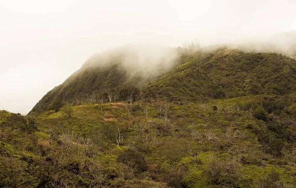 Paisagem natural panorâmica do vale do Iao na floresta wahiee na ilha Maui, Hawai. — Fotografia de Stock