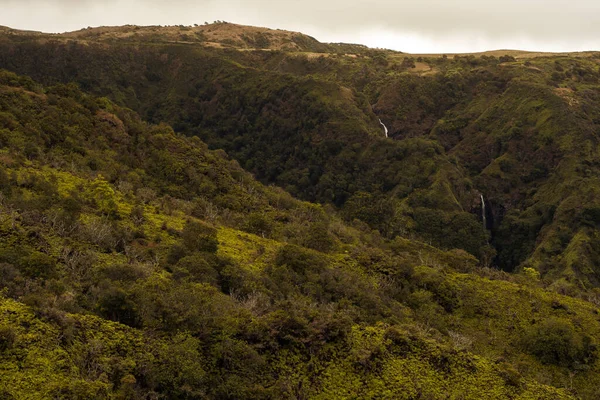 하와이, 마우이섬의와 이섬의와 이 숲에 있는 이오 계곡에서 바라본 전경. — 스톡 사진