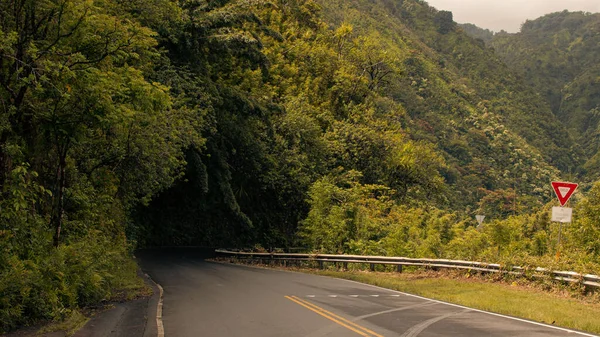 Estrada Para Hana Vegetação Fundo Montanha Maui Hawai Foto Alta — Fotografia de Stock