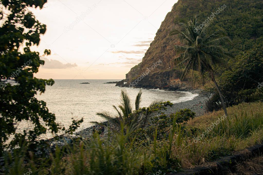 Road to hana, vegetation and sea background from Maui, Hawai. High quality photo