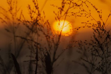 Maui sahilinden, deniz ve dağ geçmişinden büyülü altın gün batımı. - Evet. Yüksek kalite fotoğraf