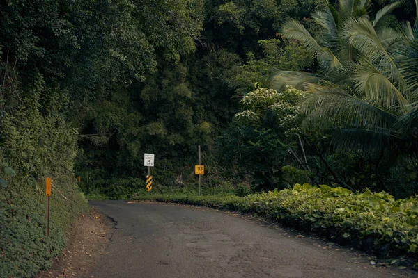 Road Hana Vegetation Sea Background Maui Hawai High Quality Photo — Stock Photo, Image