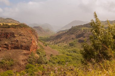 Hawaii, Kauai 'deki Vaimea Kanyonu' ndan panocamik manzara