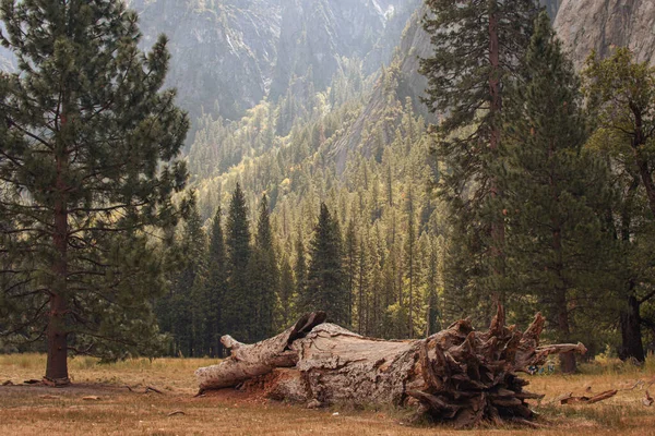 Jesienny Krajobraz Parku Narodowego Yosemite Kalifornia Stany Zjednoczone Wysokiej Jakości — Zdjęcie stockowe