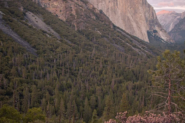 Autumnal Landscape Yosemite National Park California United States Фотографія Високої — стокове фото