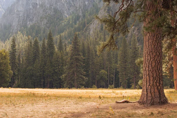 Podzimní Krajina Yosemitského Národního Parku Kalifornie Spojené Státy Americké Kvalitní — Stock fotografie