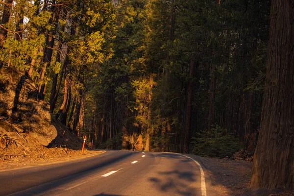 Paisagem Outonal Parque Nacional Yosemite Califórnia Estados Unidos Foto Alta — Fotografia de Stock