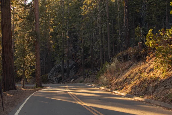 Herbstliche Naturlandschaft aus dem Yosemite National Park, Kalifornien, Vereinigte Staaten — Stockfoto