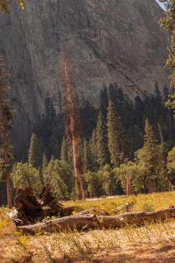 Yosemite Ulusal Parkı, Kaliforniya, ABD 'den sonbahar doğal manzarası
