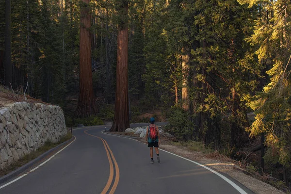 Herbstliche Naturlandschaft aus dem Yosemite National Park, Kalifornien, Vereinigte Staaten — Stockfoto