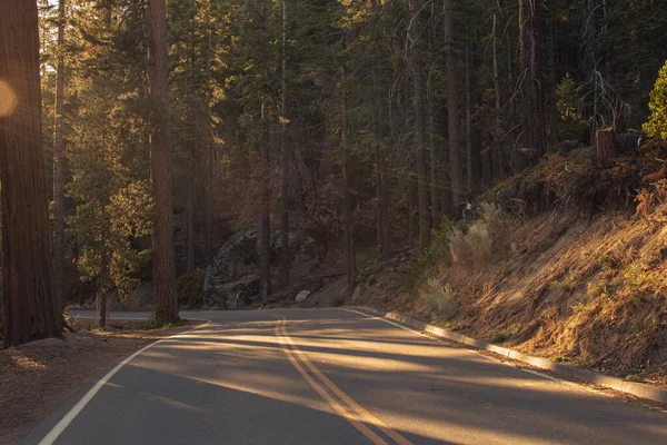 Autumnal natural landscape from Yosemite National Park, California, United States — Stock Photo, Image