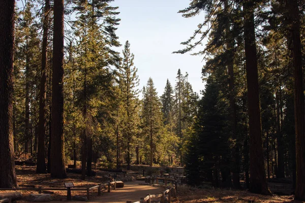 Paisaje natural otoñal del Parque Nacional Yosemite, California, Estados Unidos — Foto de Stock