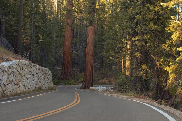 Jesienny Krajobraz Parku Narodowego Yosemite Kalifornia Stany Zjednoczone Wysokiej Jakości — Zdjęcie stockowe