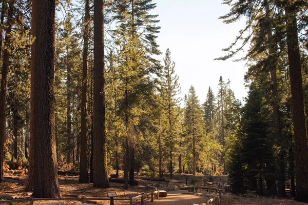 Paisaje Otoñal Del Parque Nacional Yosemite California Estados Unidos Foto — Foto de Stock