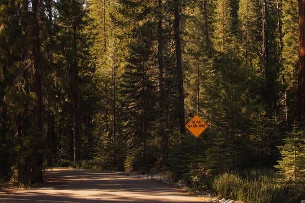 Herbstliche Naturlandschaft aus dem Yosemite National Park, Kalifornien, Vereinigte Staaten — Stockfoto
