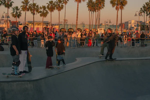 Street Photography Venice Beach Skatepark Los Ángeles California Estados Unidos — Foto de Stock