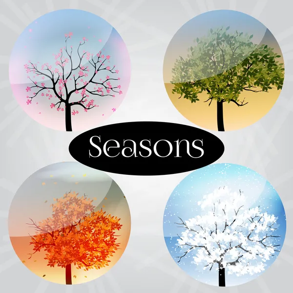 Banners Four Seasons com Árvores Abstratas Infográfico - Ilustração vetorial — Vetor de Stock