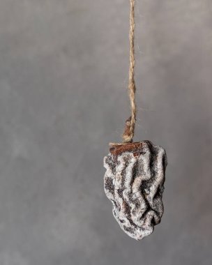 İplerde asılı duran kurumuş hurma. Gri arka plan. Yüksek kalite fotoğraf