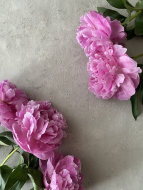 Arka planda pembe şakayık demeti var. Cep telefonu fotoğrafı. Yüksek kalite fotoğraf