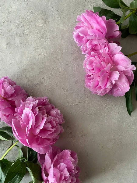 Arka planda pembe şakayık demeti var. Cep telefonu fotoğrafı. Yüksek kalite fotoğraf