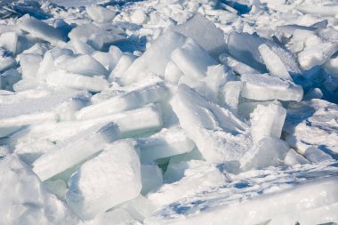Denizde buz blokları. Rusya, Vladivostok. Buz parçaları. Yüksek kalite fotoğraf