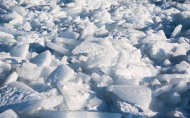 Denizde buz blokları. Rusya, Vladivostok. Buz parçaları. Yüksek kalite fotoğraf