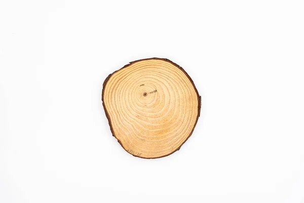 Kawałek Drewna Rocznym Wzorem Pierścienia Białym Tle Koło Okrągłe Wysokiej — Zdjęcie stockowe