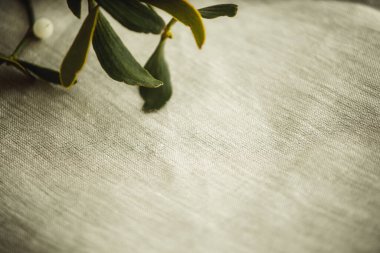 keten arkaplanda yeşil dal