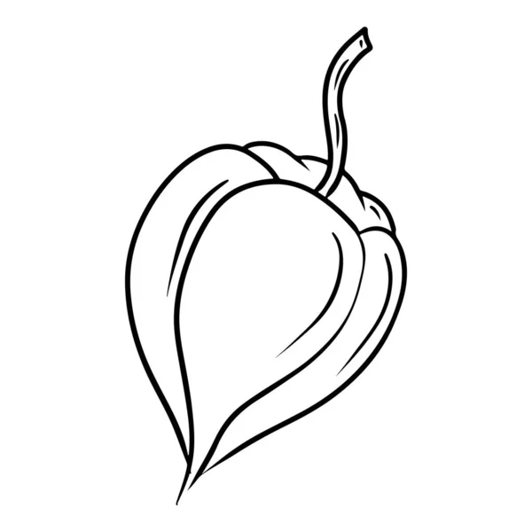 Closed Physalis Flower Drawn Vector Line Art Doodle Simple Style — Image vectorielle