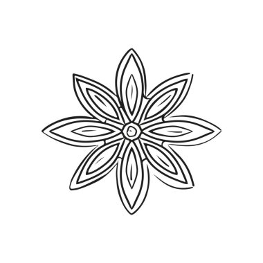 Anise star hand drawn sketch vector illustration isolated on thite background. Engraved vintage drawing of the spice used for cooking mulled wine and bakery. Black and white art.