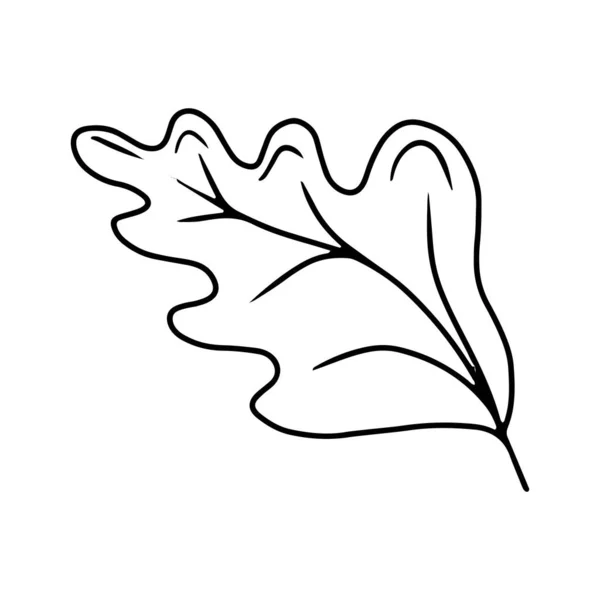 Line Art Oak Leaves Minimal Drawing Green Oak Leaf Sketch — Vector de stock