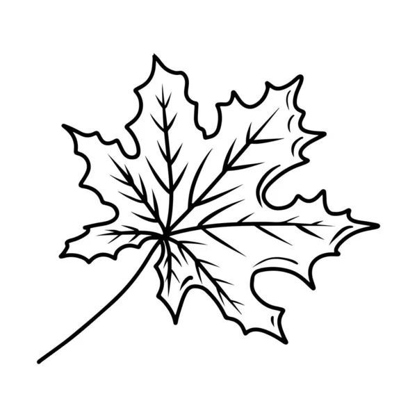 Maple Leaf Black Sketch Hand Drawn Illustration Isolated White Background — 스톡 벡터