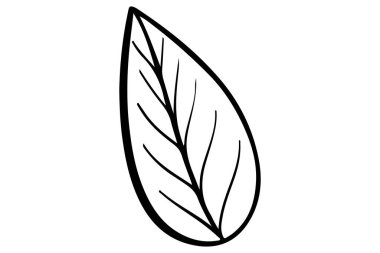 El yapımı yaprak. Özet yaprağı