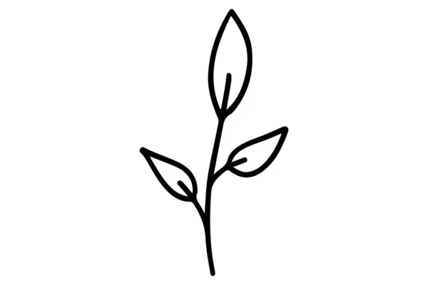 Ramo Árvore Desenhado Mão Doodle Flor Estilo Esboço Agitar Folha — Vetor de Stock