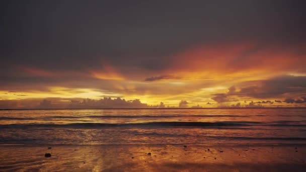 Coucher Soleil Tropical Vagues Sur Plage — Video