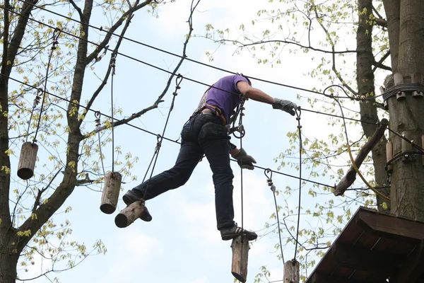 Klettern im Hochseilgarten