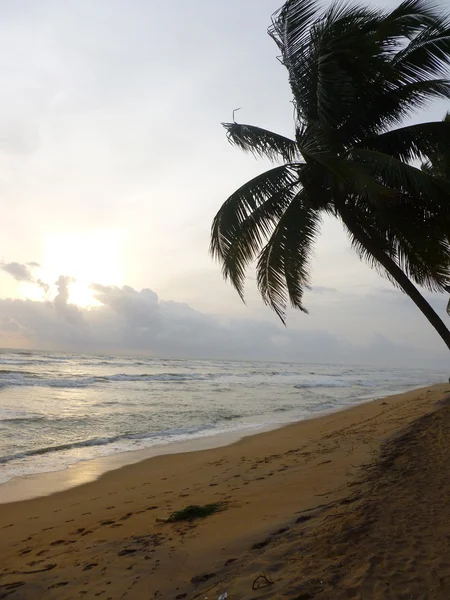 Sonnenuntergang strand kulüpler — Stok fotoğraf
