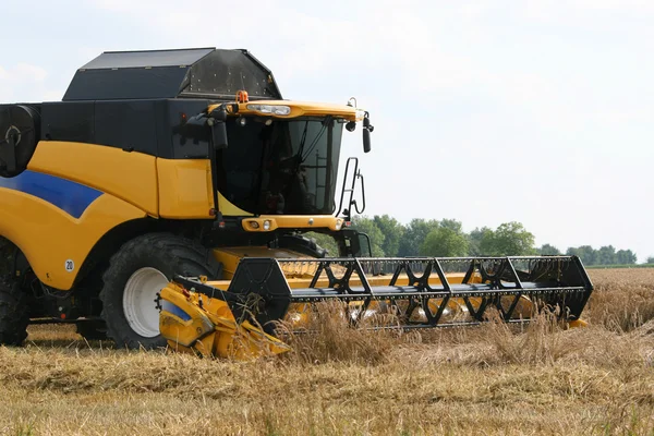 Combina mietitrebbia su campo di grano — Foto Stock