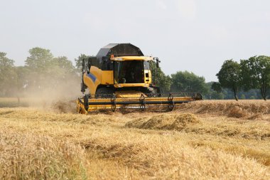 buğday ürünleri - combine hasat hasat