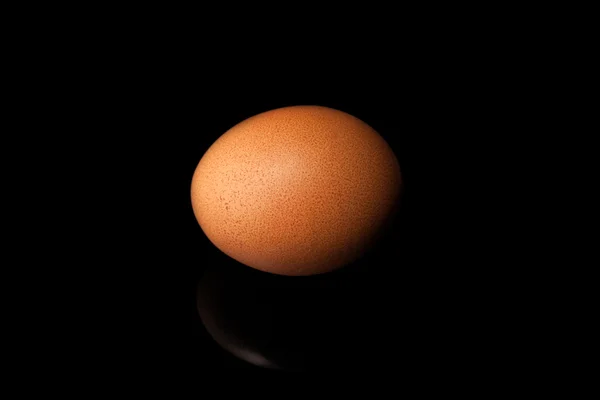 Brown  egg — Stock Photo, Image