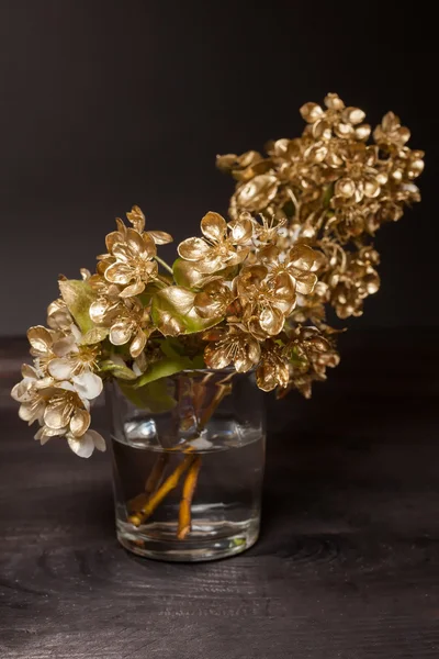 Goldene Birnenblüten — Stockfoto