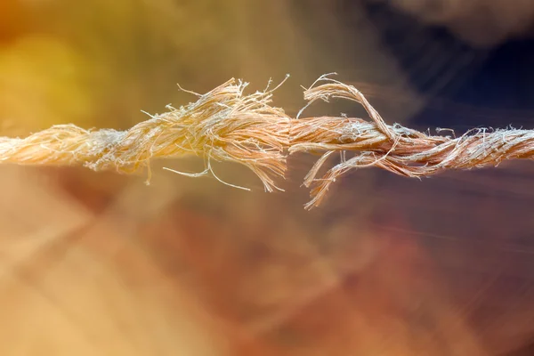 Frayed rope — Stock Photo, Image