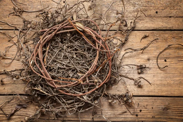 Tomt näste — Stockfoto