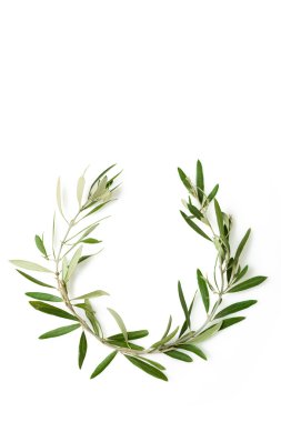 zeytin ağacı çelenk