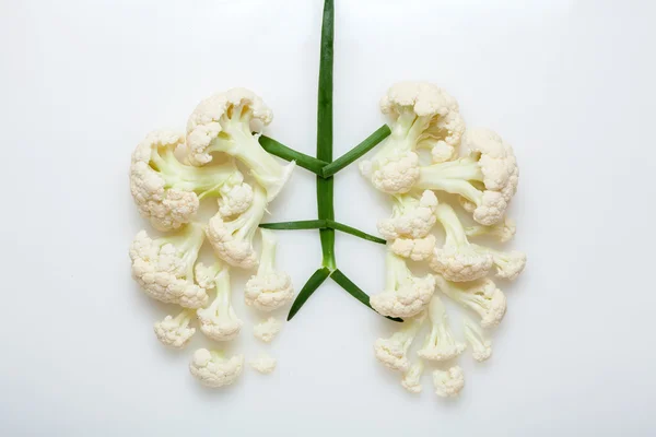 Healthy Lungs — Stock Photo, Image